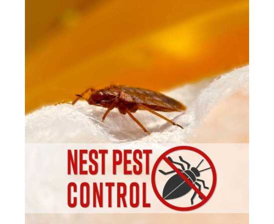 Extreme Power Bed Bug Control khatmal control Liquid