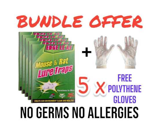 Bundle Offer Pack of 5 Imported Extra Large Mouse Glue Trap