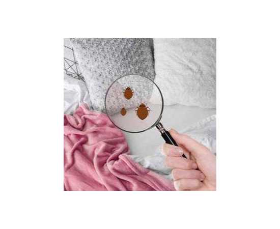 Extreme Power Bed Bug Control khatmal control Liquid