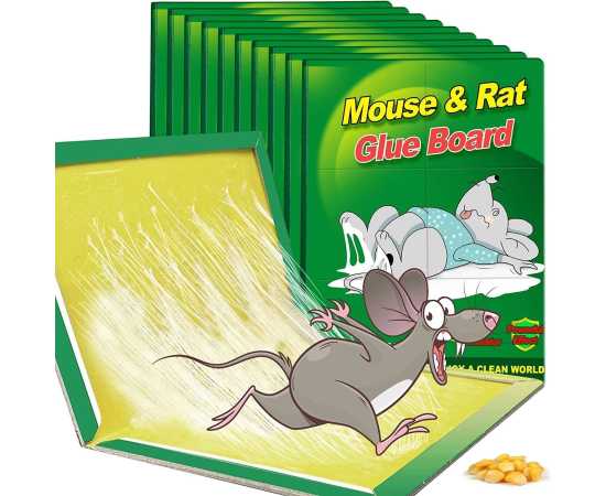Bundle Offer Pack of 5 Imported Extra Large Mouse Glue Trap