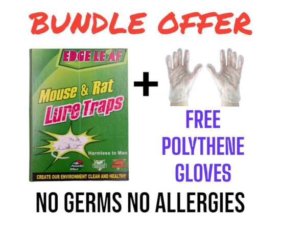 Large Mouse Rat Glue Trap Rat Book with FREE Gloves