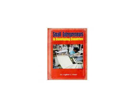 Small Entrepreneurs In Developing Countries (HB)