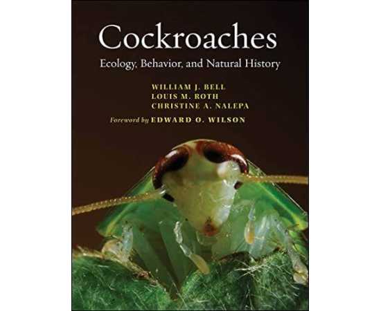Cockroaches Ecology,Behavior,And Natural History (HB)