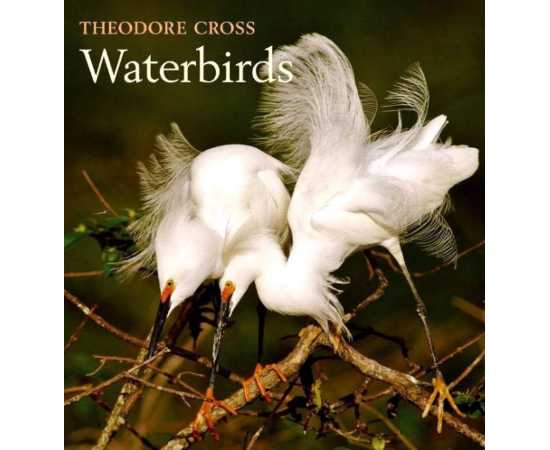 Waterbirds (HB)