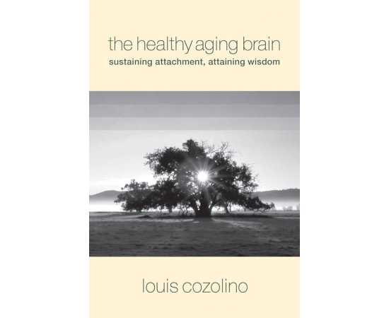 The Healthy Aging Brain Sustaining Attachment Attaining Wisdom (HB)