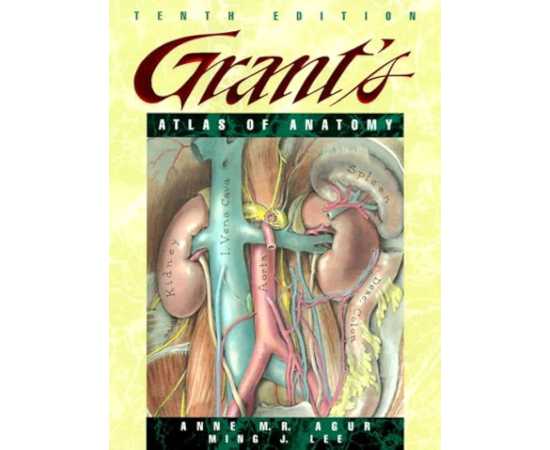 Grants Atlas Of Anatomy 10/E (PB)