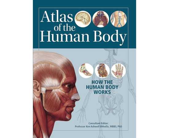 Atlas Of The Human Body How The Human Works (HB)