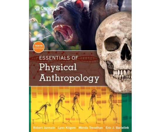 Essentials Of Physical Anthropology 10/E (PB)