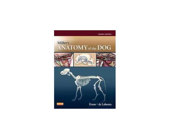 Millers Anatomy Of The Dog 4/E (HB)