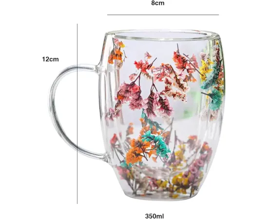Double Wall Glass Drink Mug with Handle