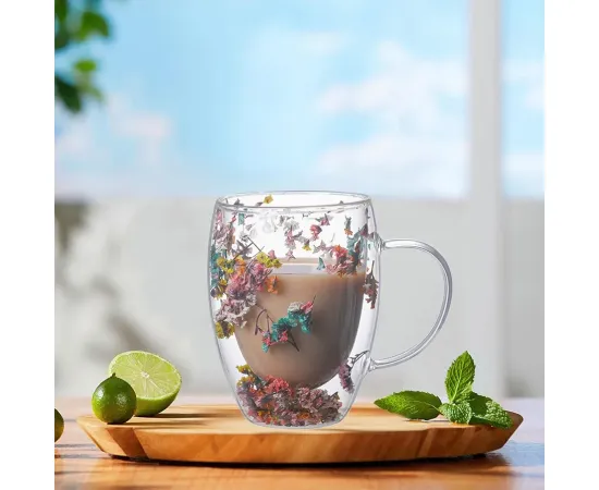 Double Wall Glass Drink Mug with Handle