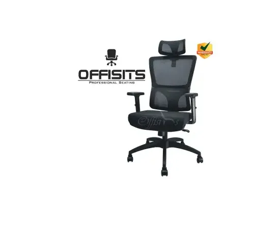 Backcare - High Back Executive Chair - 1 Year Warranty