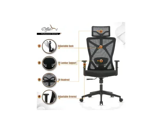 Ergonomic Executive Chair - M19