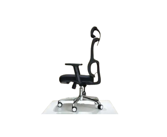 Executive Ergonomic Chair - Backcare
