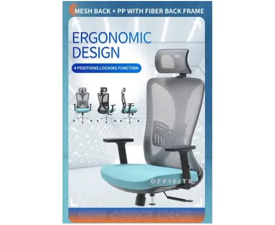 High Back Ergonomic Executive Chair - M22