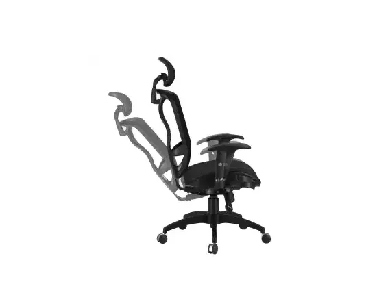 Relaxeat Ergonomic Executive Chair