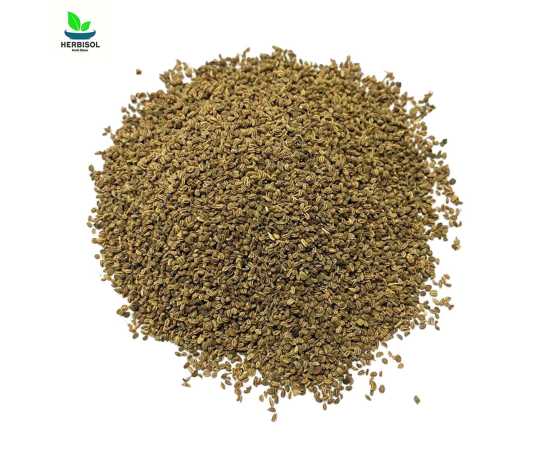 Ajwain Krifs  Sprague Fresh And Original by Herbisol