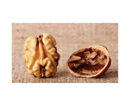 Fresh Walnuts Kagazi Akharot With Shell - 1Kg