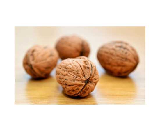 Fresh Walnuts Kagazi Akharot With Shell - 1Kg