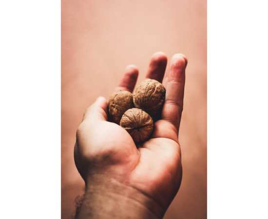 Fresh Walnuts Kagazi Akharot With Shell - 1Kg